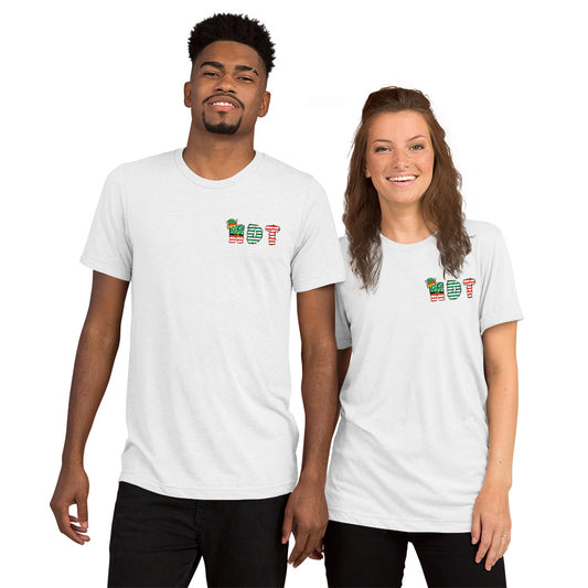 NDT Holiday Tee