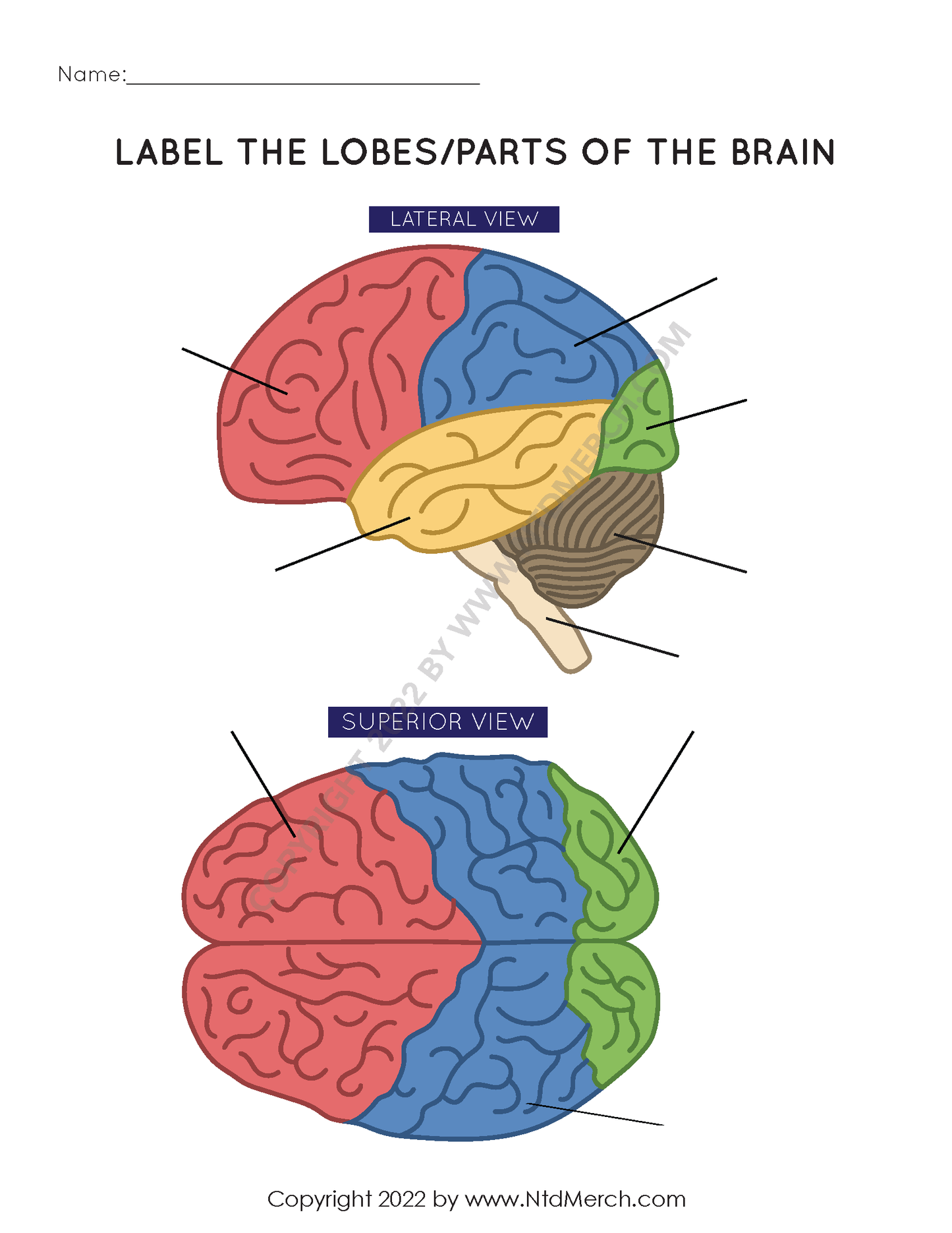 NDT  Study Set #2